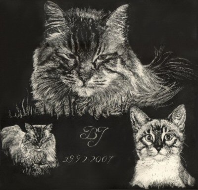 Pet Portrait Artist's Photograph. Custom Pet Portraits! Pet Portraits, Dog Art Collection