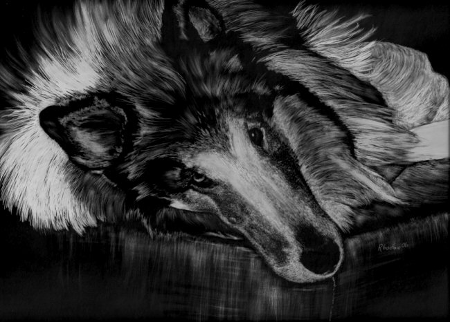Pet Portrait Artist's Photograph. Custom Pet Portraits! Pet Portraits, Dog Art Collection