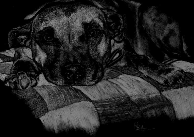Pet Portrait Artist's Photograph. Custom Pet Portraits! Pet Portraits, Dog Art Collection