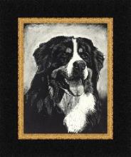 Black and Gold frame for Pet Portraits