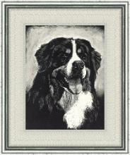 Silver frame for Pet Portraits