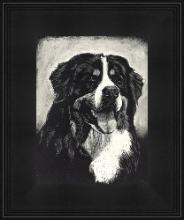 Black frame for Pet Portraits
