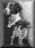 Pet Portraits! Custom Pet Portraits, Pet Portrait Art. Pet Portrait of a Brittany