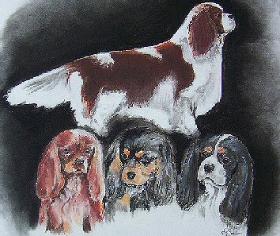 Portrait in Pastel and Ink of Cavalier King Charels Spaniels. Pet Portraits! Custom Pet Portraits, Dog Portrait Artists